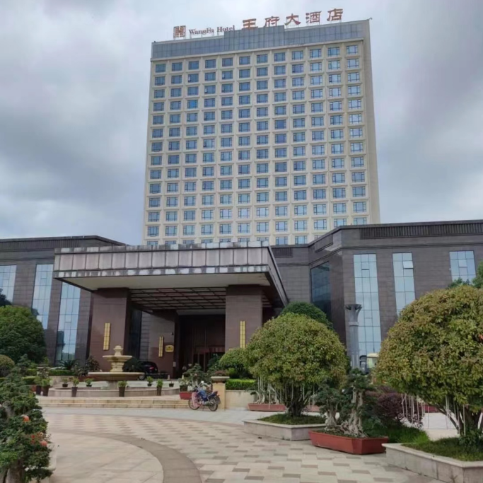 王府大(da)酒店(diàn)-電(dian)竟房